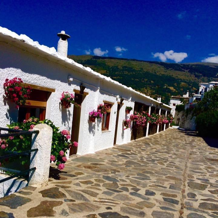 Turisticos Rural Tinaos Apartment